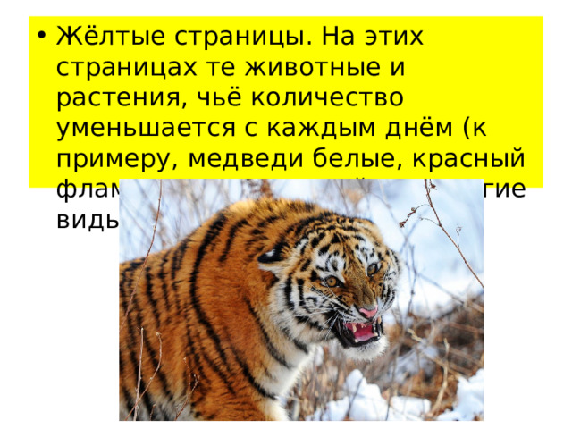 Жёлтые страницы. На этих страницах те животные и растения, чьё количество уменьшается с каждым днём (к примеру, медведи белые, красный фламинго, розовая чайка и другие виды). 