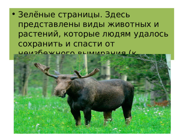 Зелёные страницы. Здесь представлены виды животных и растений, которые людям удалось сохранить и спасти от неизбежного вымирания (к примеру, лось, бобр речной). 