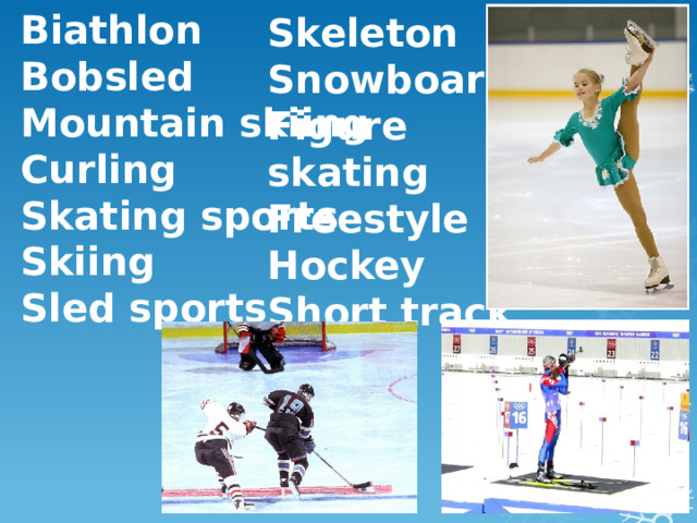 Biathlon Bobsled Mountain skiing Curling Skating sports Skiing Sled sports  Skeleton Snowboard Figure skating Freestyle Hockey Short track 