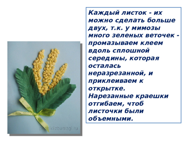 Каждый листок - их можно сделать больше двух, т.к. у мимозы много зеленых веточек - промазываем клеем вдоль сплошной середины, которая осталась неразрезанной, и приклеиваем к открытке. Нарезанные краешки отгибаем, чтоб листочки были объемными. 