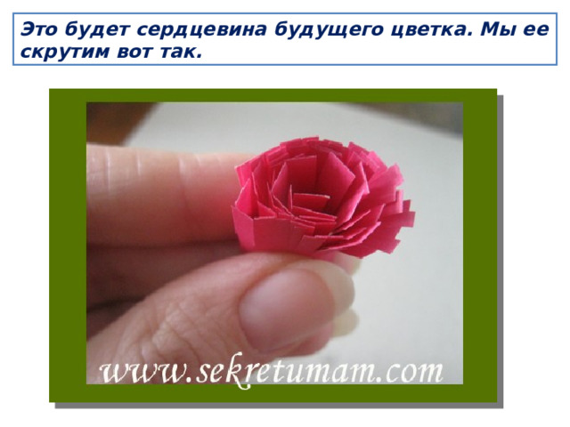 Это будет сердцевина будущего цветка. Мы ее скрутим вот так. 