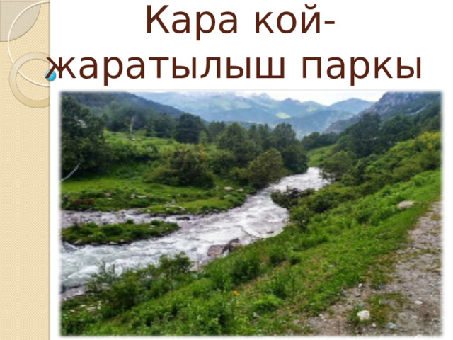 Кара кой- жаратылыш паркы 