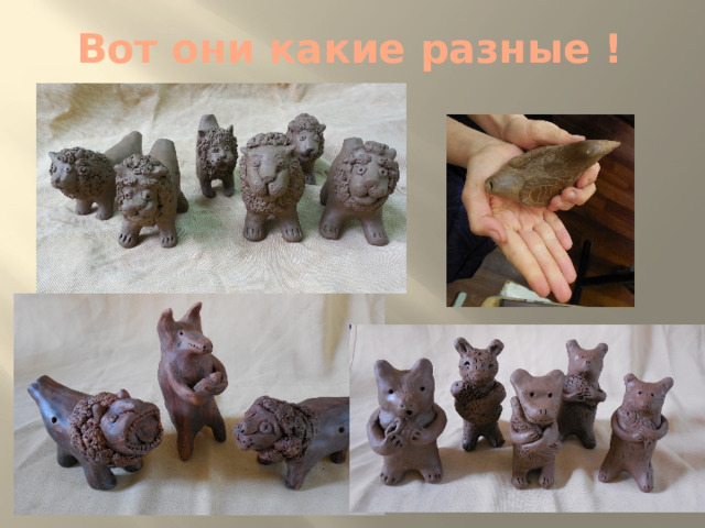 Вот они какие разные ! 