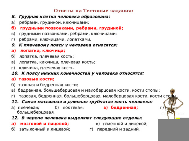 Ответы на Тестовые задания :   8.  Грудная клетка человека образована: а)   ребрами, грудиной, ключицами; б)   грудными позвонками, ребрами, грудиной; в)   грудными позвонками, ребрами, ключицами; г)   ребрами, ключицами, лопатками. 9.  К плечевому поясу у человека относятся: а)   лопатка, ключица; б)   лопатка, плечевая кость; в)   лопатка, ключица, плечевая кость; г)   ключица, плечевая кость. 10.  К поясу нижних конечностей у человека относятся: а)  тазовые кости; б)  тазовая и бедренная кости; в)  бедренная, большеберцовая и малоберцовая кости, кости стопы; г)   тазовая, бедренная, большеберцовая, малоберцовая кости, кости стопы. 11.  Самая массивная и длинная трубчатая кость человека: а)  плечевая;            б)   локтевая;               в)  бедренная;                 г) большеберцовая. 12.  В черепе человека выделяют следующие отделы: а)   мозговой и лицевой;                    в)  теменной и лицевой; б)   затылочный и лицевой;               г)   передний и задний.  