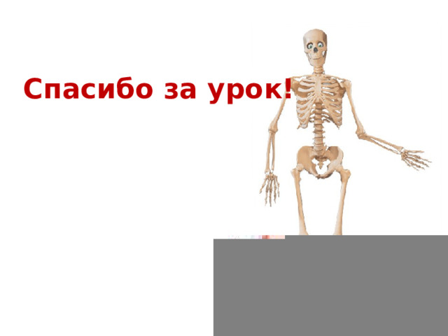Спасибо за урок! 