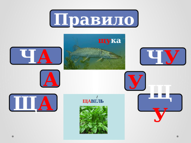 Правило щу ка Ч А Ч У А У Щ У Щ А 