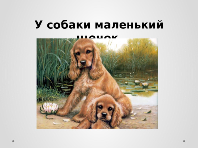 У собаки маленький щенок . 