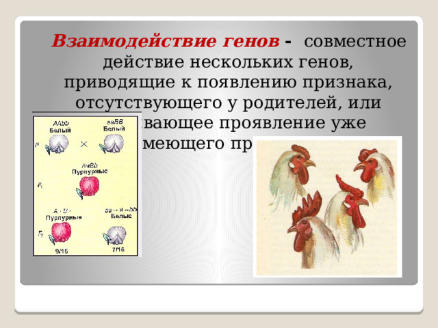  Взаимодействие генов  - совместное действие нескольких генов, приводящие к появлению признака, отсутствующего у родителей, или усиливающее проявление уже имеющего признака. 