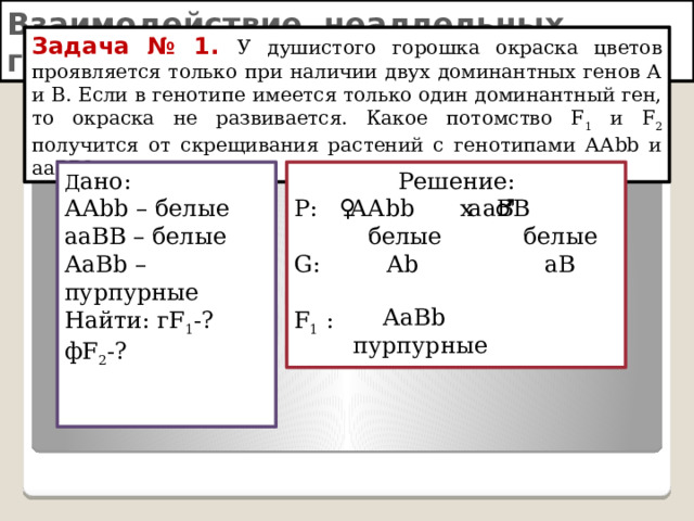 Взаимодействие неаллельных генов: комплементарность Задача № 1. У душистого горошка окраска цветов проявляется только при наличии двух доминантных генов А и В. Если в генотипе имеется только один доминантный ген, то окраска не развивается. Какое потомство F 1 и F 2 получится от скрещивания растений с генотипами ААbb и ааВВ? Д ано: Решение: Р: ♀ х ♂ ААbb – белые  белые белые ааВВ – белые G: Аb aB АаВb – пурпурные Найти: гF 1 -? фF 2 -? F 1 :  ааВВ ААbb АаВb пурпурные 
