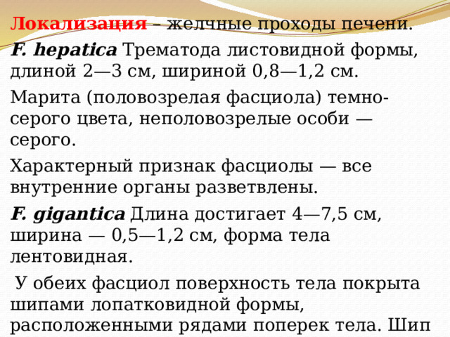 Локализация – желчные проходы печени. F. hepatica Трематода листовидной формы, длиной 2—3 см, шириной 0,8—1,2 см. Марита (половозрелая фасциола) темно-серого цвета, неполовозрелые особи — серого. Характерный признак фасциолы — все внутренние органы разветвлены. F. gigantica  Длина достигает 4—7,5 см, ширина — 0,5—1,2 см, форма тела лентовидная.  У обеих фасциол поверхность тела покрыта шипами лопатковидной формы, расположенными рядами поперек тела. Шип состоит из основания, погруженного в тегумент, и лезвия. Края лезвия зазубрены. 