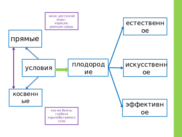 запас доступной воды; аэрация; реакция среды естественное прямые плодородие искусственное условия косвенные эффективное кол-во биоты; глубина корнеобитаемого слоя 