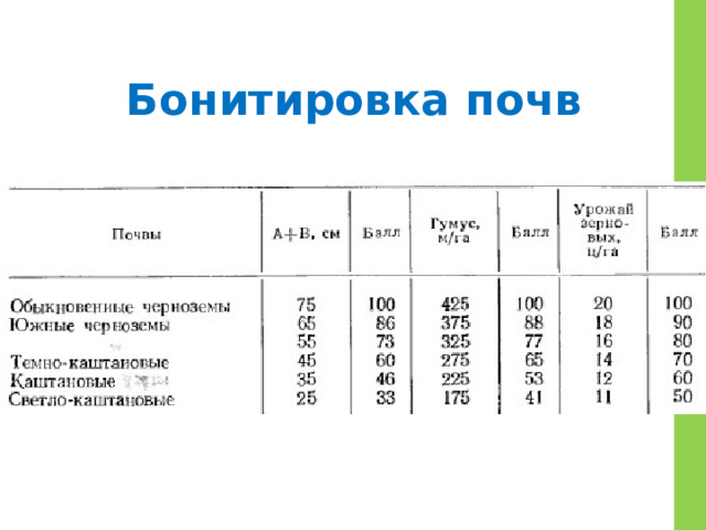 Бонитировка почв 