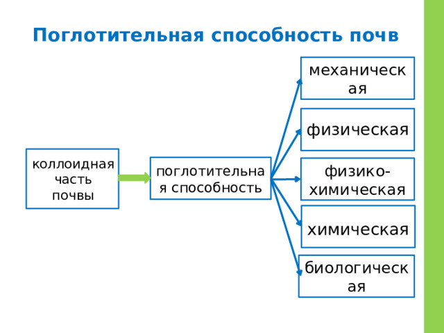 Поглотительная способность почв механическая физическая коллоидная часть почвы поглотительная способность физико-химическая химическая биологическая 