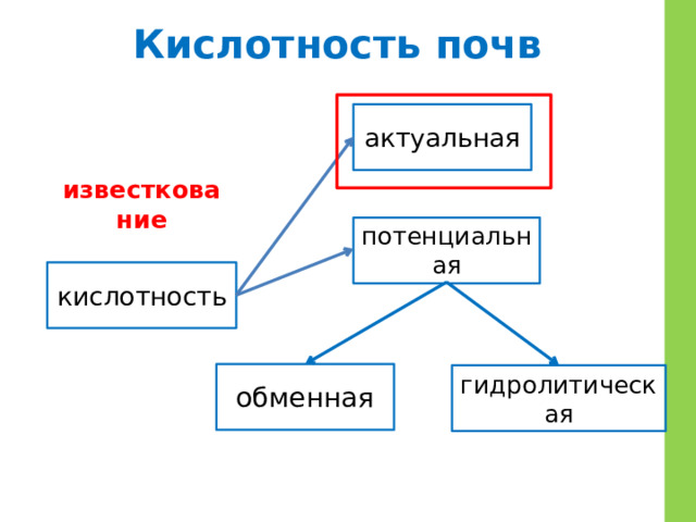 Кислотность почв актуальная известкование потенциальная кислотность обменная гидролитическая 