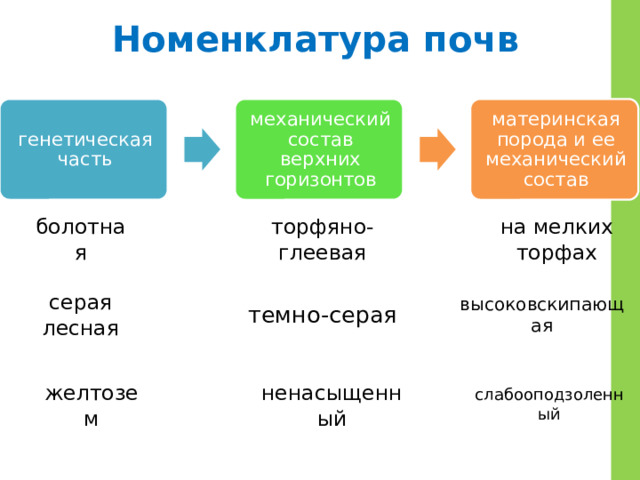 Номенклатура почв генетическая часть механический состав верхних горизонтов материнская порода и ее механический состав болотная торфяно-глеевая на мелких торфах темно-серая серая лесная высоковскипающая слабооподзоленный желтозем ненасыщенный 