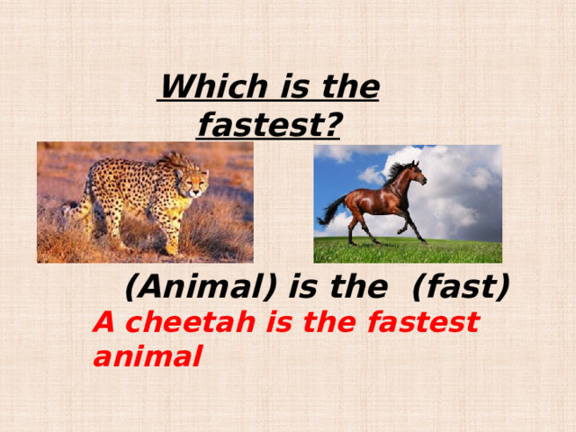 Which is the fastest? (Animal) is the (fast) A cheetah is the fastest animal 