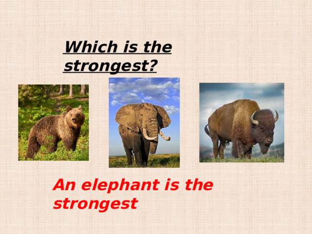 Which is the strongest? An elephant is the strongest 