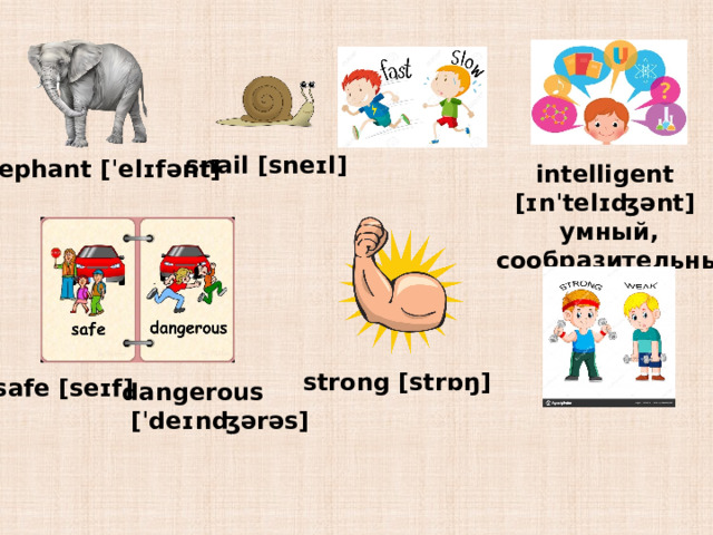 snail [sneɪl] elephant [ˈelɪfənt] intelligent [ɪnˈtelɪʤənt] умный, cообразительный strong [strɒŋ] safe [seɪf] dangerous  [ˈdeɪnʤərəs] 