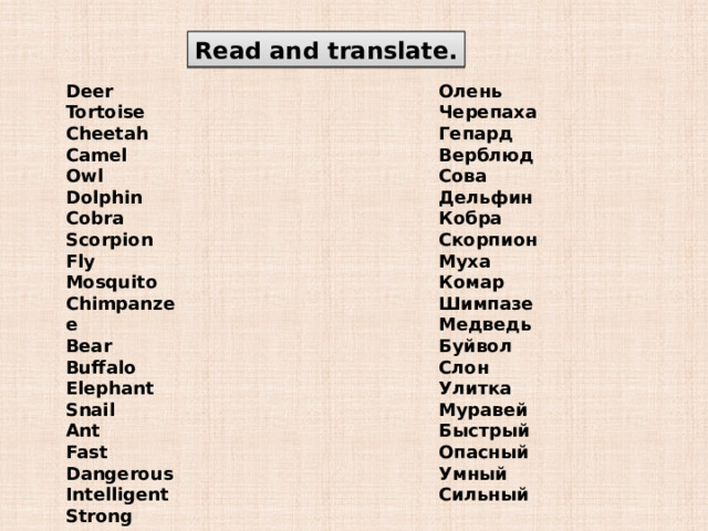 Read and translate. Deer Олень Tortoise Черепаха Cheetah Гепард Camel Верблюд Сова Owl Dolphin Дельфин Кобра Cobra Скорпион Scorpion Fly Муха Комар Mosquito Шимпазе Chimpanzee Медведь Bear Буйвол Buffalo Слон Elephant Snail Улитка Ant Муравей Fast Быстрый Dangerous Опасный Intelligent Умный Strong Сильный 