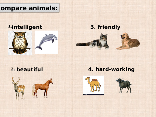 Compare animals: 1. intelligent 3. friendly 4. hard-working beautiful 2. 