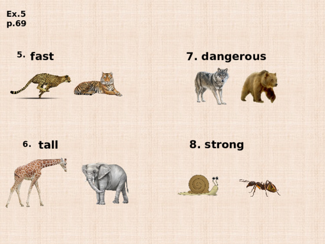 Ex.5 p.69 5. fast 7. dangerous 8. strong tall 6. 