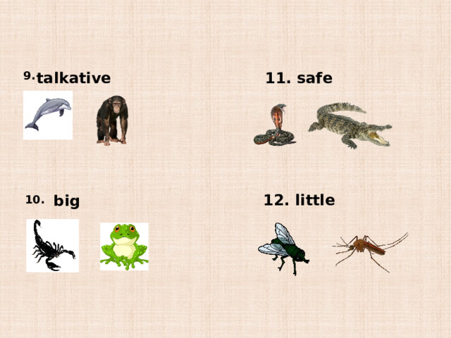 9. talkative 11. safe 12. little big 10. 