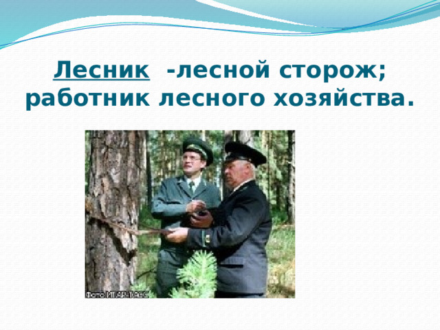 Лесник -лесной сторож; работник лесного хозяйства. 