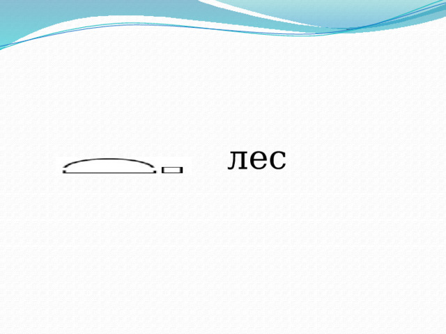 лес 