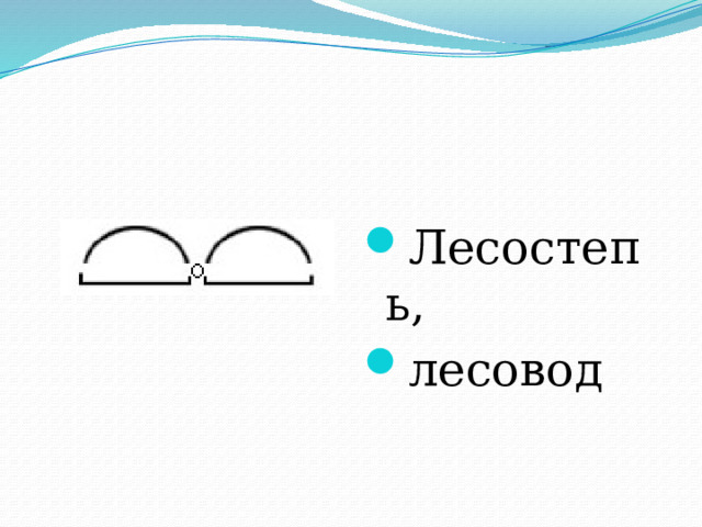 Лесостепь, лесовод 