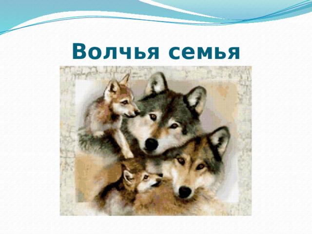 Волчья семья 