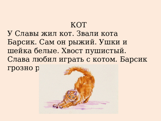 КОТ У Славы жил кот. Звали кота Барсик. Сам он рыжий. Ушки и шейка белые. Хвост пушистый. Слава любил играть с котом. Барсик грозно рычал. 
