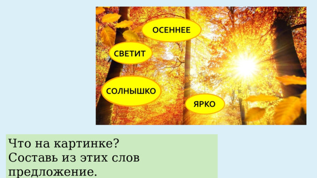 Что на картинке? Составь из этих слов предложение. 