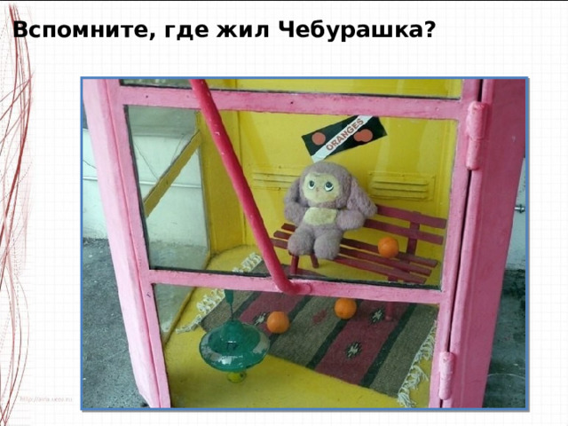 Вспомните, где жил Чебурашка? 
