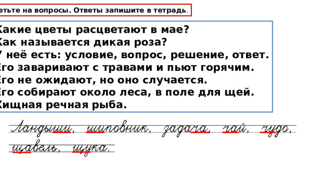 Ответьте на вопросы. Ответы запишите в тетрадь . Какие цветы расцветают в мае? Как называется дикая роза? У неё есть: условие, вопрос, решение, ответ. Его заваривают с травами и пьют горячим. Его не ожидают, но оно случается. Его собирают около леса, в поле для щей. Хищная речная рыба. 
