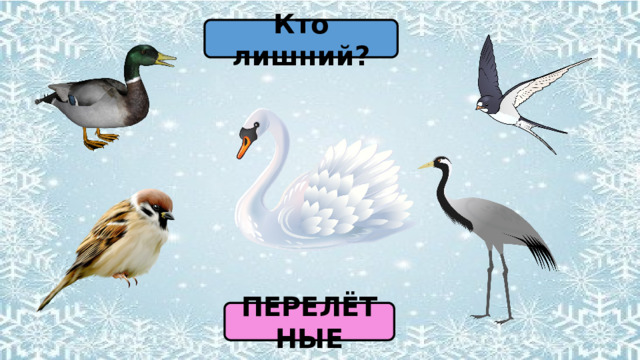 Кто лишний? ПЕРЕЛЁТНЫЕ 