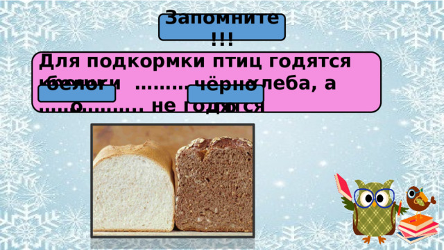 Запомните!!! Для подкормки птиц годятся крошки …………….. хлеба, а …………….. не годятся белого чёрного 