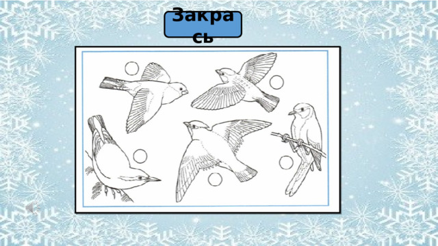 Закрась 