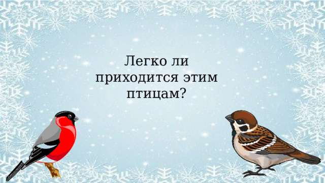 Легко ли приходится этим птицам? 