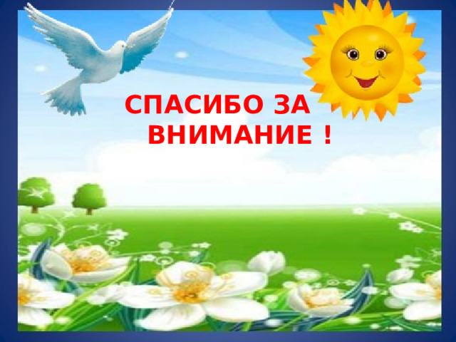 Спасибо за внимание ! 