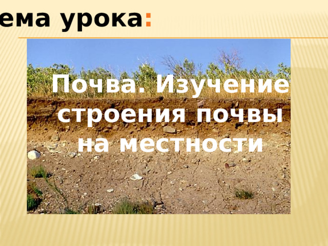 Тема урока : Почва. Изучение строения почвы на местности 
