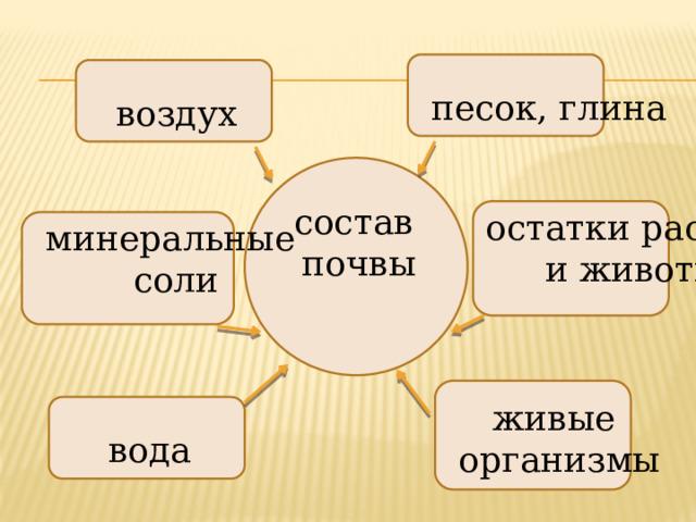 песок, глина воздух состав почвы остатки растений и животных минеральные соли живые организмы вода 