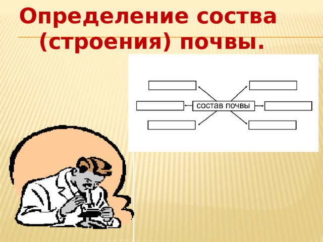 Определение соства  (строения) почвы. 