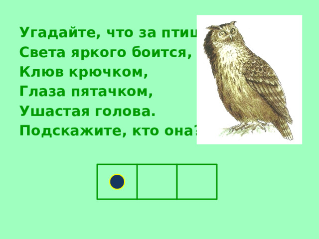  Угадайте, что за птица, Света яркого боится, Клюв крючком, Глаза пятачком, Ушастая голова. Подскажите, кто она?  