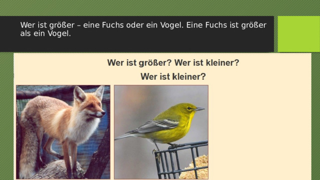 Wer ist größer – eine Fuchs oder ein Vogel. Eine Fuchs ist größer als ein Vogel.   