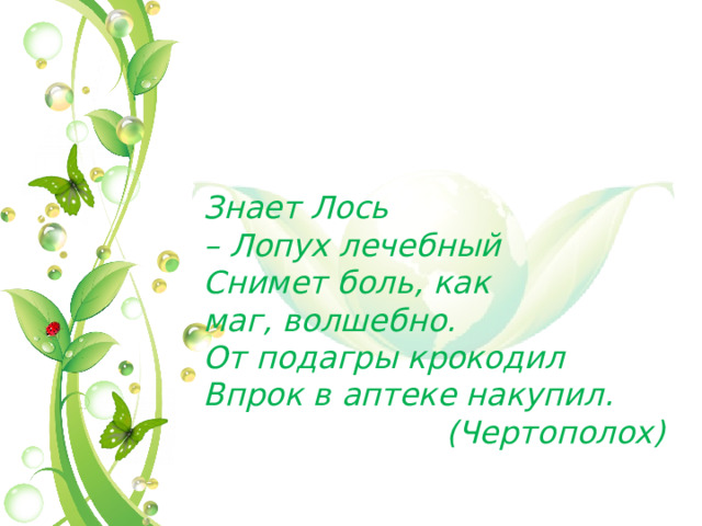 Знает Лось – Лопух лечебный  Снимет боль, как маг, волшебно.  От подагры крокодил  Впрок в аптеке накупил. (Чертополох) 