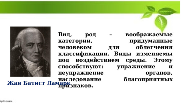 Вид, род – воображаемые категории, придуманные человеком для облегчения классификации. Виды изменяемы под воздействием среды. Этому способствуют: упражнение и неупражнение органов, наследование благоприятных признаков. Жан Батист Ламарк 