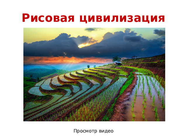 Рисовая цивилизация Просмотр видео 