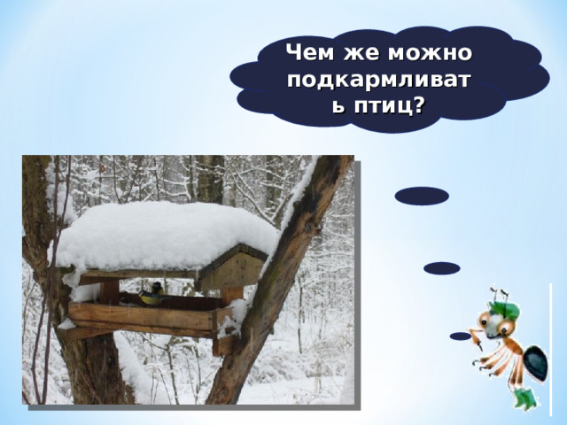 Чем же можно подкармливать птиц? 