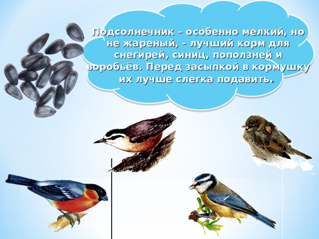 Подсолнечник – особенно мелкий, но не жареный, - лучший корм для снегирей, синиц, поползней и воробьёв. Перед засыпкой в кормушку их лучше слегка подавить . 