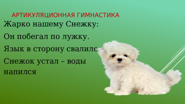 Артикуляционная гимнастика Жарко нашему Снежку: Он побегал по лужку. Язык в сторону свалился. Снежок устал – воды напился 